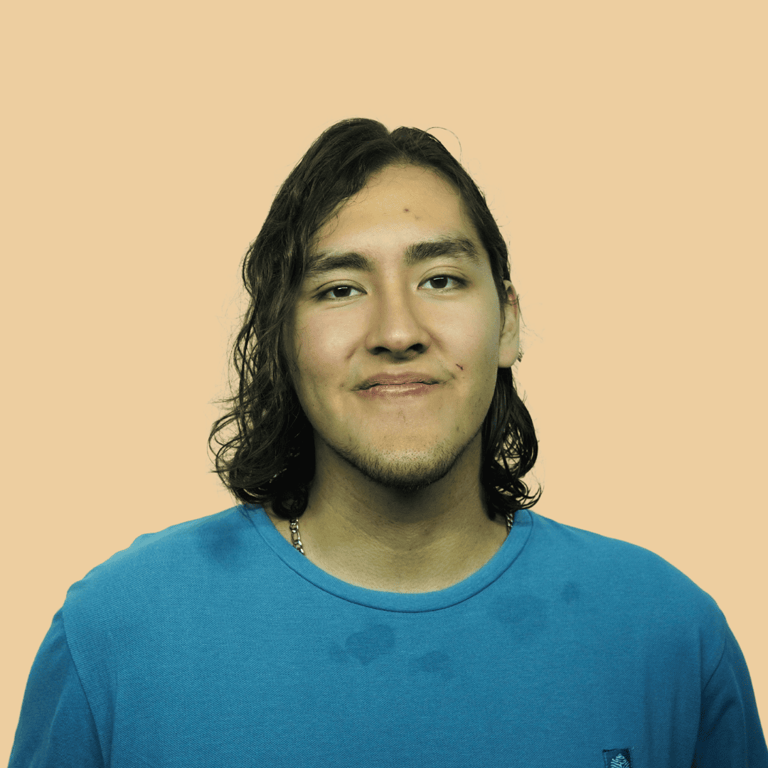Fabricio L. T.